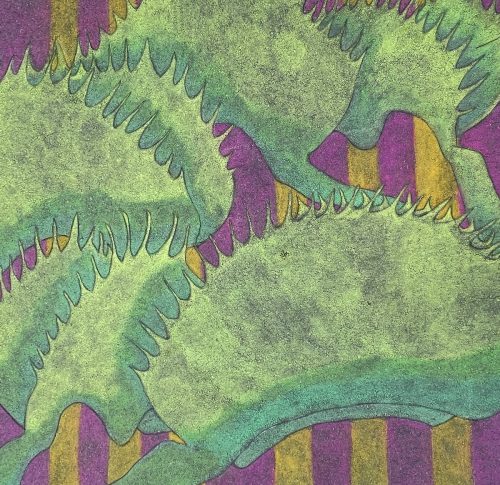 Venus Fly Traps (2025)