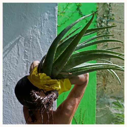 Women Holding Heavy:  Aloe 1